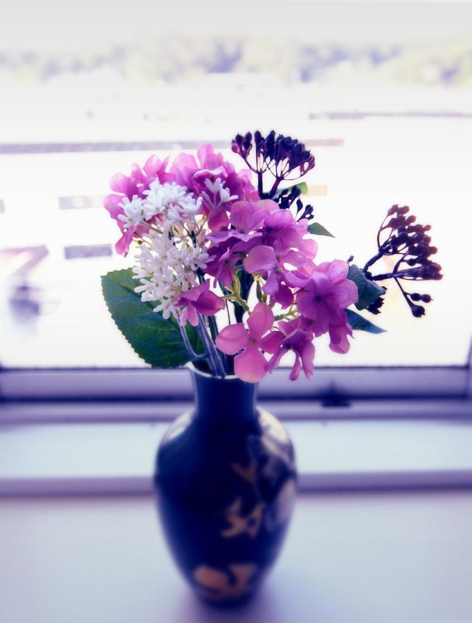 Guest Room Kamakura Nagomi -Hydrangea- Eksteriør bilde